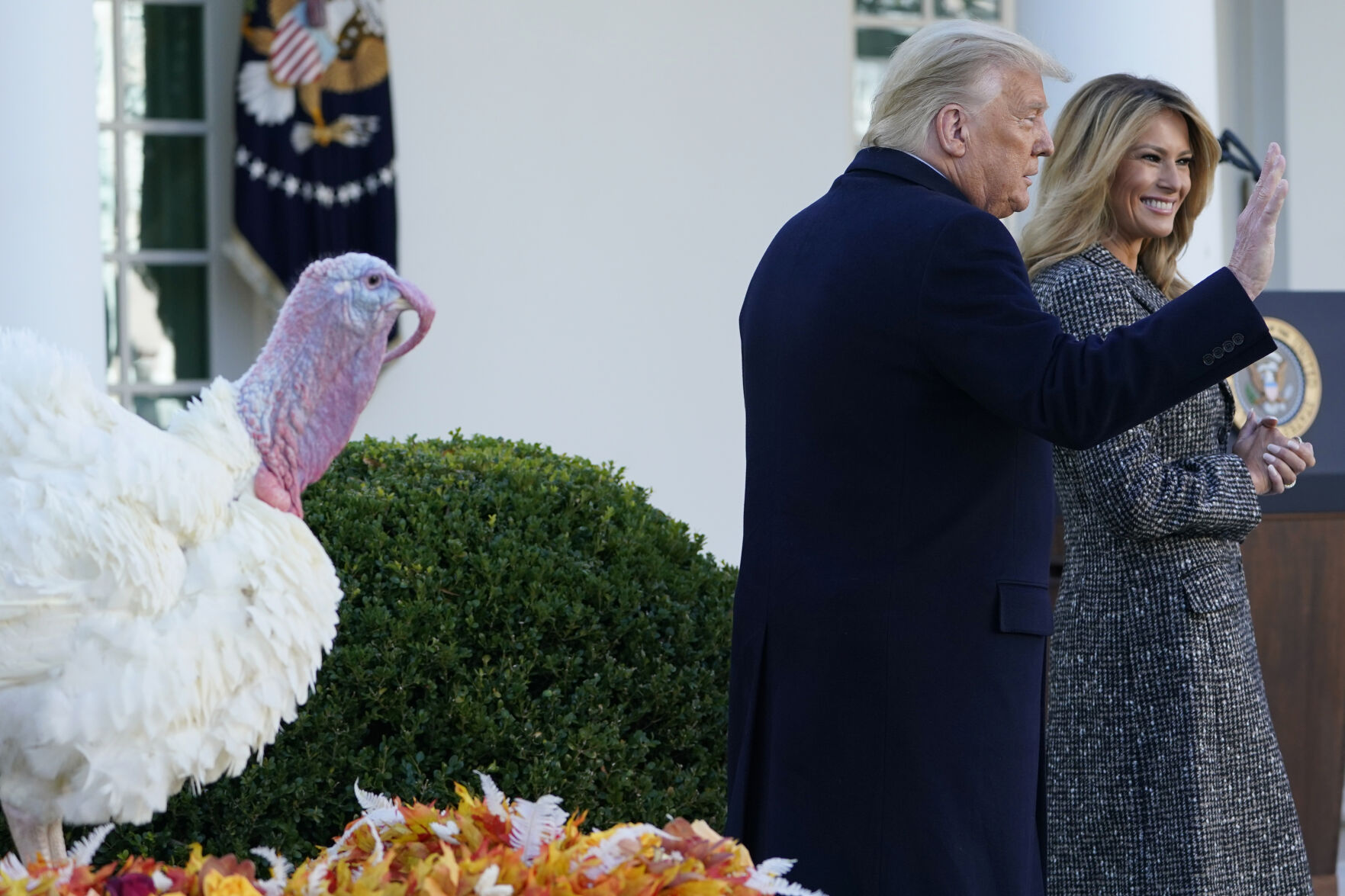 Trump